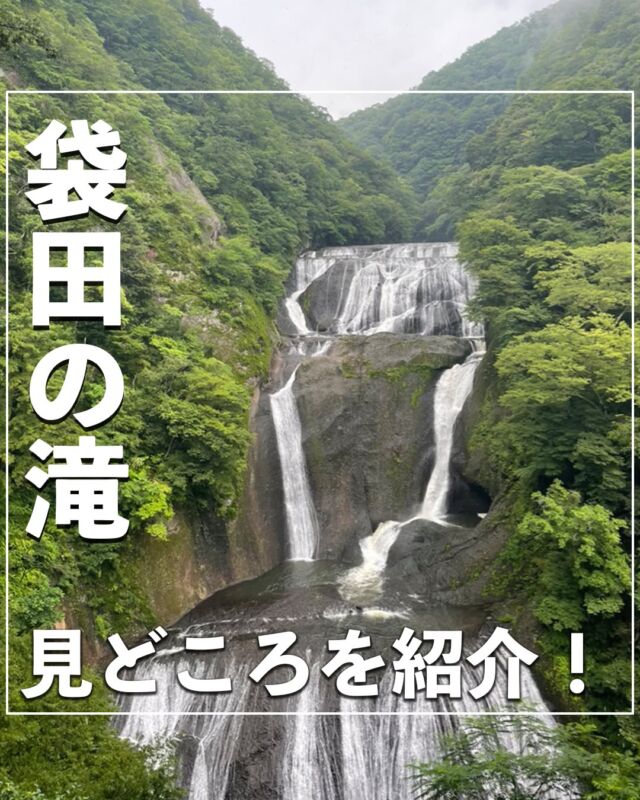 @no_car_gotrip ⇦他の投稿はこちらから⭐️
日本三名瀑かつ国名勝にも指定されており日本を代表する滝である袋田の滝✨
滝の流れる轟音と自然の壮大さを実感できる美しさに感動間違いなし！
今回はそんな袋田の滝の見どころを紹介します。
①第一観瀑台
②第二観瀑台
③恋人の聖地モニュメント
④双葉食堂
⑤袋田温泉
※情報は公式HPを参考にしております。
営業時間・料金等は変更の場合がございますので、訪れる際はHPでご確認をお願いいたします。
-———————————
『袋田の滝』
📌茨城県久慈郡大子町袋田3−19
🚌袋田駅からバスで10分/徒歩は40分かかります
⏰9:00~17:00
💴：入場料:大人500円子ども300円
※目安料金です。詳しい料金は施設にご確認ください。
——————————
----------------------------------
月1で旅行する旅ブロガーが、
#車なし旅行 のモデルコースや観光スポットを投稿していきます！
旅先で泊まってよかった旅館・ホテルも随時更新中！
投稿を気に入っていただけましたら、ぜひいいね！フォローお待ちしております⭐️
---------------------------------- #茨城観光 #茨城旅 #茨城旅行 #袋田の滝 #袋田の滝🍁 #袋田の滝グルメ #関東旅行 #滝